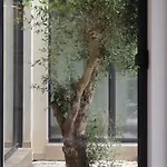Modern With Private Pool Near The Sea * Ližnjan