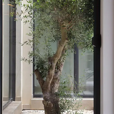 Modern With Private Pool Near The Sea * Liznjan