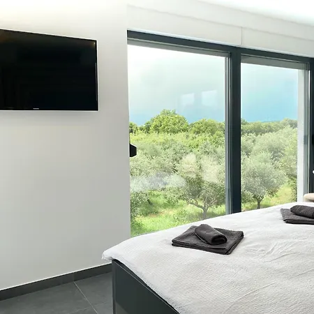 Modern With Private Pool Near The Sea Liznjan